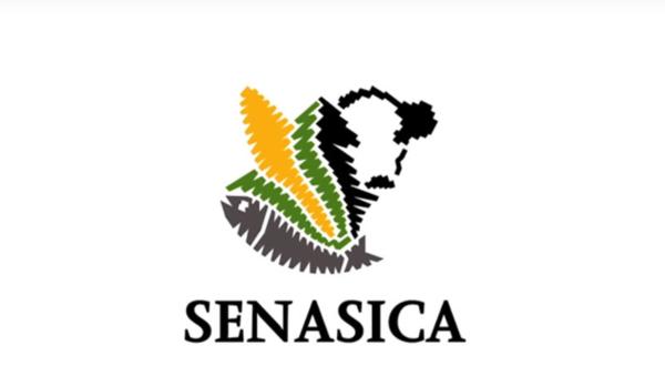 Certificación México SENASICA